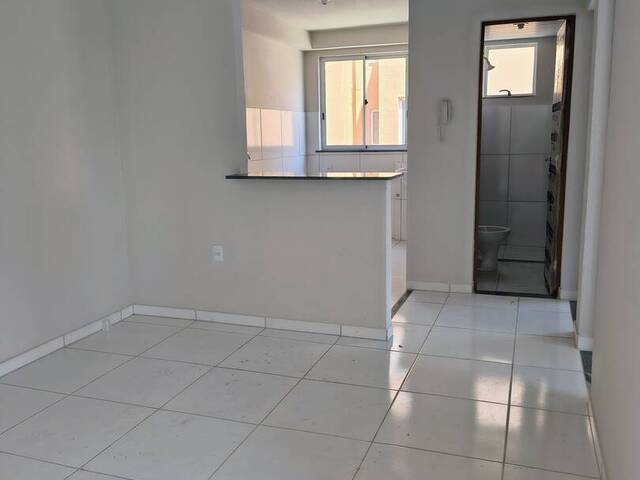 Apartamento para Locação em São Luís - 4