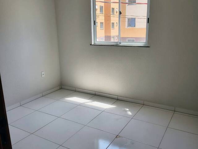 Apartamento para Locação em São Luís - 5